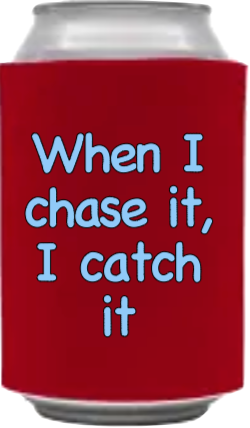 #1Buzzcatcher